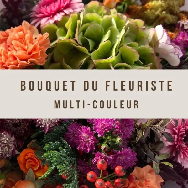 Multi couleur fleurs séné