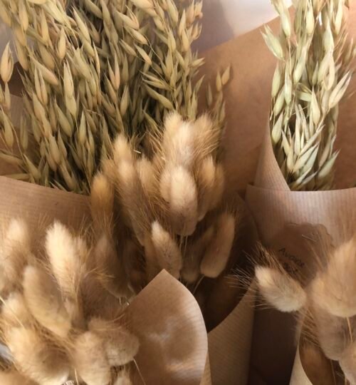 Fleurs séchées Poulfanc Séné
