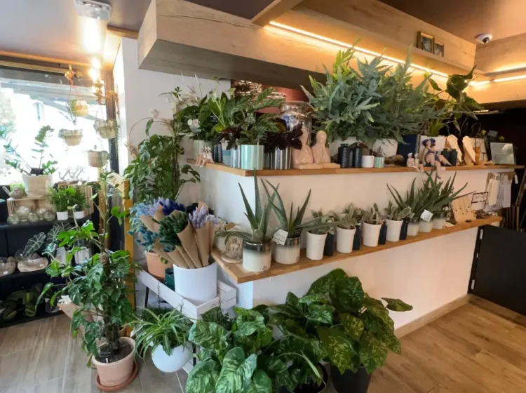 Intérieur boutique de fleurs Séné